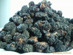 廣州亞隆生物科技 融合前沿生物技術的干果產(chǎn)品創(chuàng)新實踐